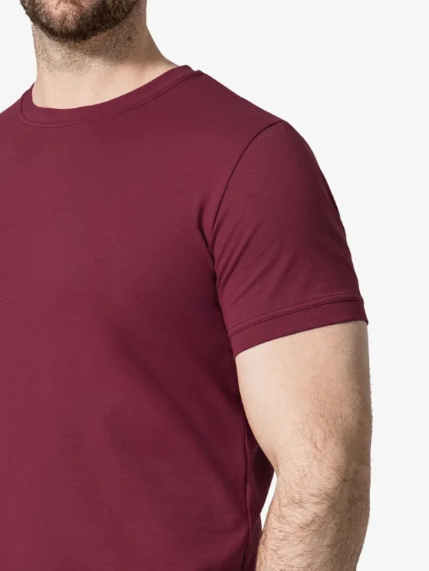 CityZen Davos pánské tričko slim fit bordó