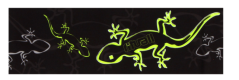 Rituall Čelenka Ještěrka černo-zelená