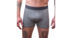 Sensor Merino Active trenky, světle šedá